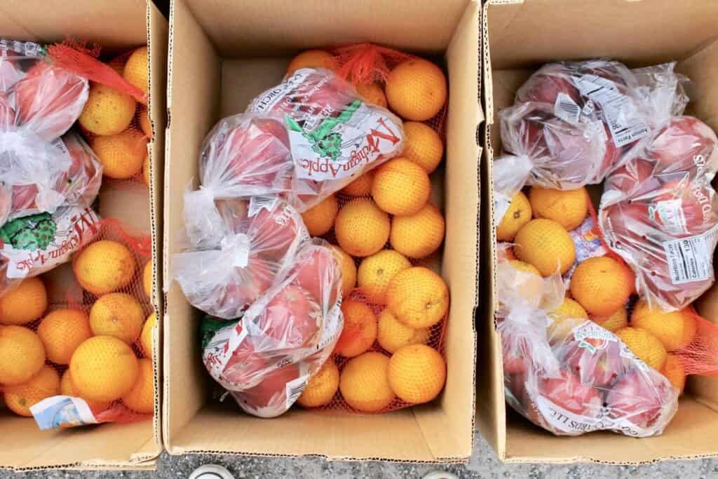 Three cardboard boxes filled with bags of apples and loose oranges are arranged side by side. The apples are in plastic bags, while the oranges are loose and also in red mesh bags in some boxes.