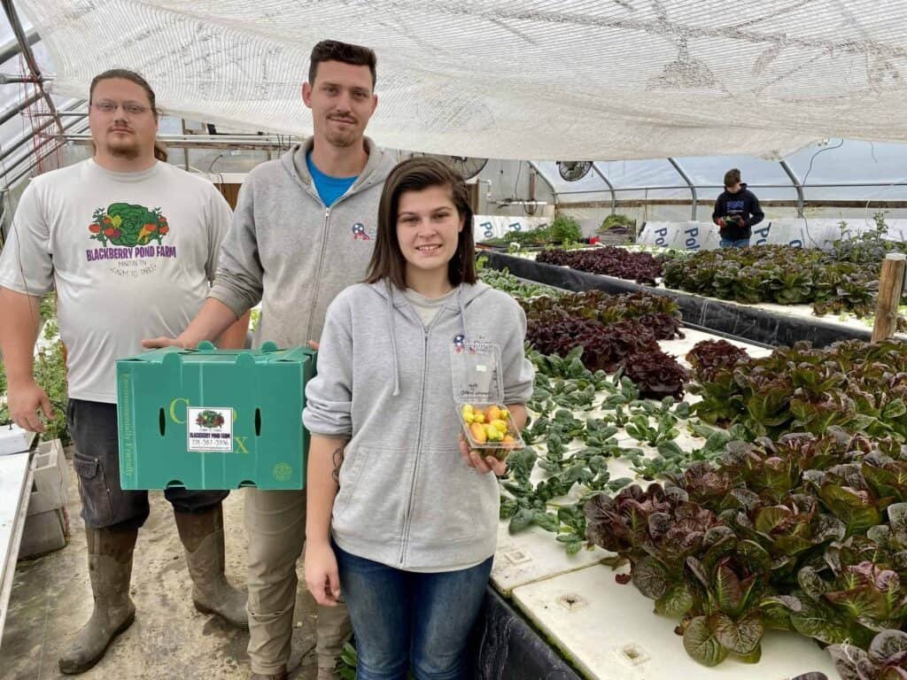 Three people stand in a greenhouse with rows of leafy greens. One holds a box of produce, another holds a container of cherry tomatoes, and a third stands beside them. More plants and a person working are visible in the background.