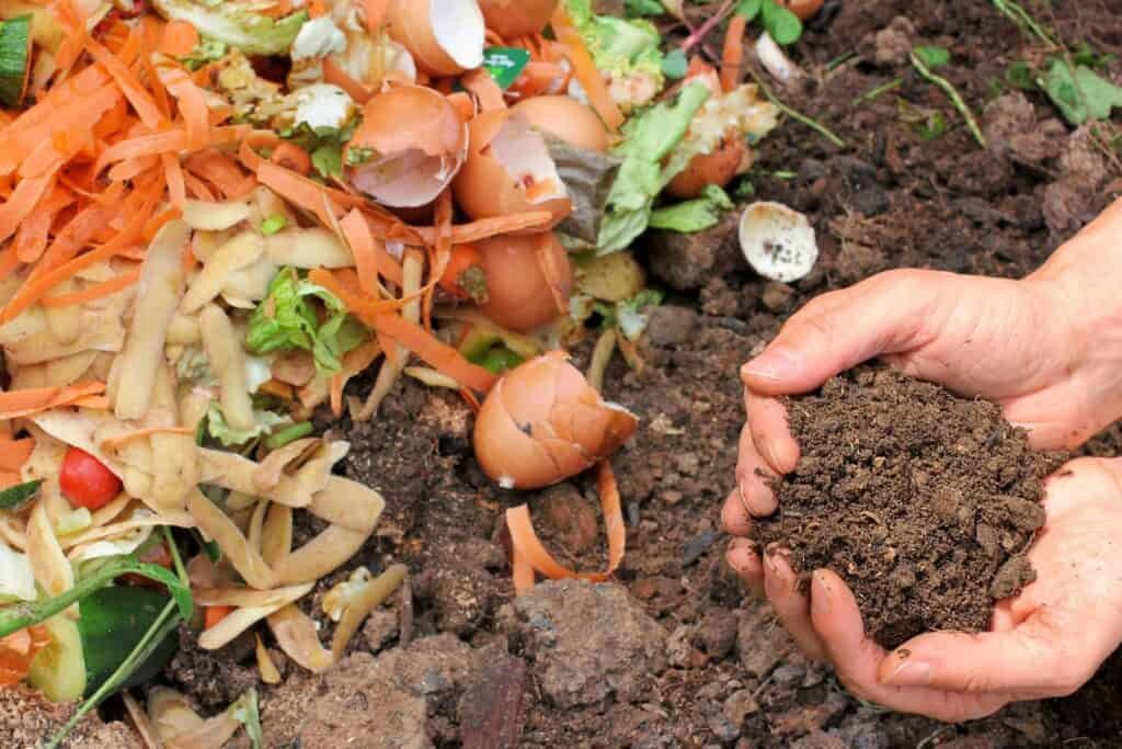 Hands holding rich compost next to a pile of food scraps including eggshells, vegetable peels, and other organic waste, demonstrating composting and recycling of kitchen waste for soil enrichment.