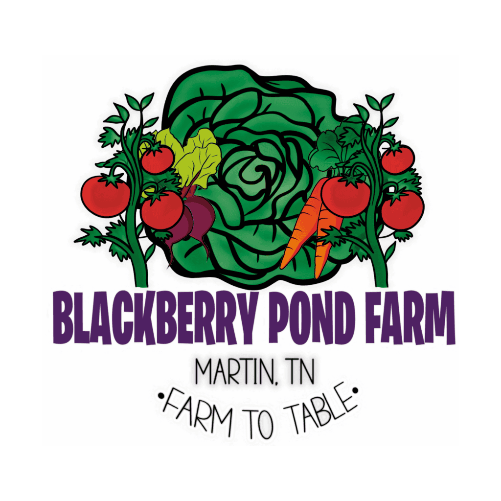 Logo for Blackberry Pond Farm featuring green lettuce, red tomatoes, and orange carrots, with the text Blackberry Pond Farm and Martin, TN, Farm to Table underneath.