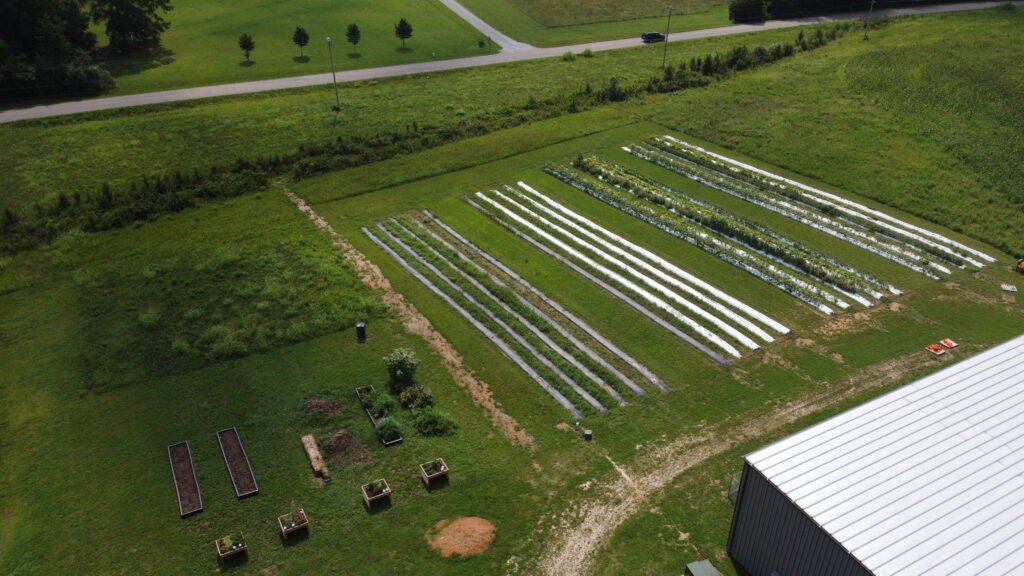 Aerial view of a small farm with several rows of crops covered in plastic mulch, rectangular garden beds, grassy areas, and a nearby metal-roofed building, bordered by a road and open fields.