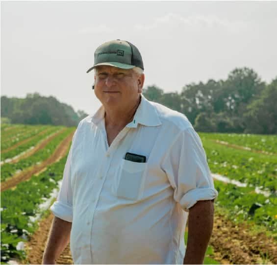 A man wearing a white shirt and a cap stands in a green crop field on a sunny day, with rows of plants and trees in the background.