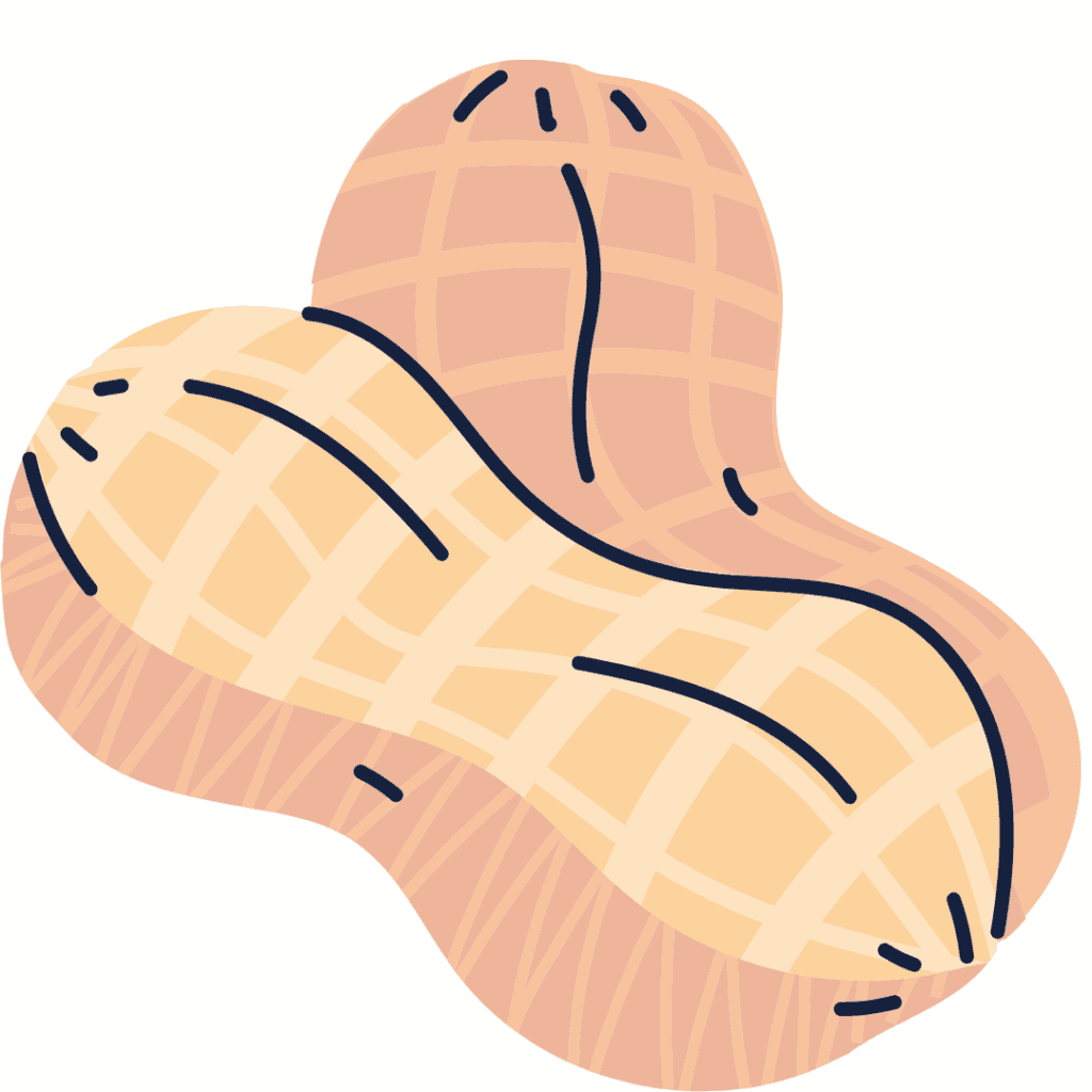 A stylized illustration of two peanuts in their shells, featuring light brown and beige colors with crisscrossed patterns and dark curved lines for detail.
