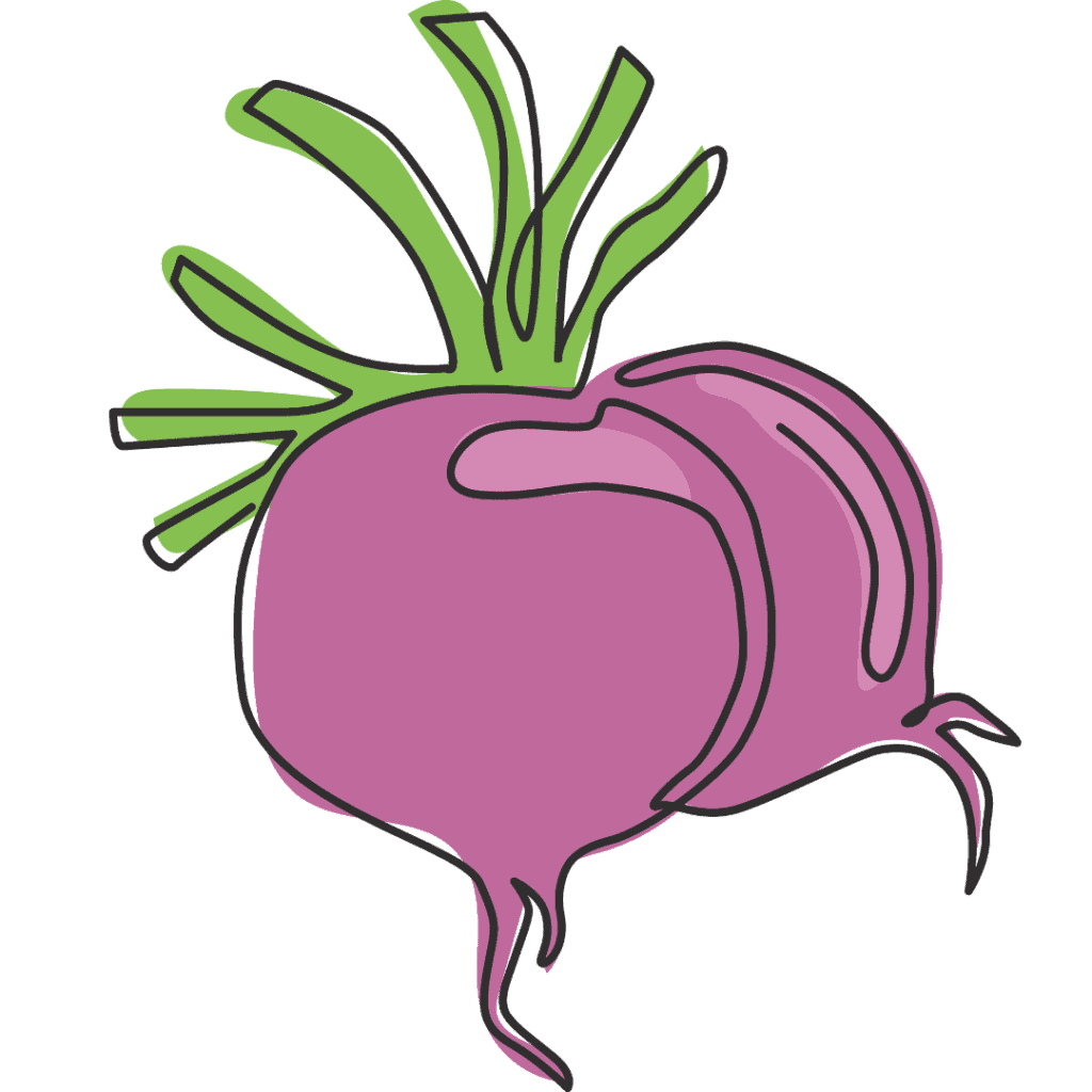A simple illustration of two purple turnips with green leaves, outlined in black, on a light background.