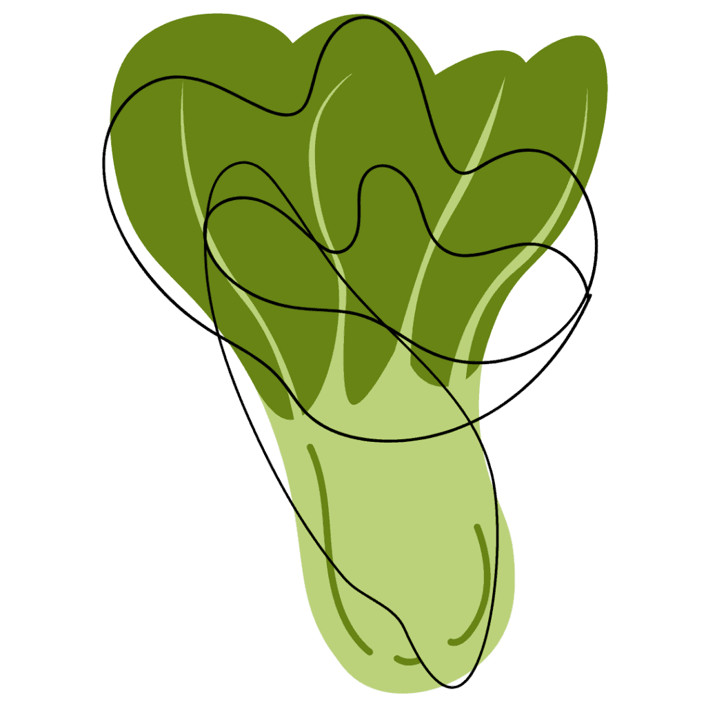 Abstract illustration of a leafy green vegetable, resembling lettuce or bok choy, with overlapping green shapes and a loose, black wavy line drawn across the image.