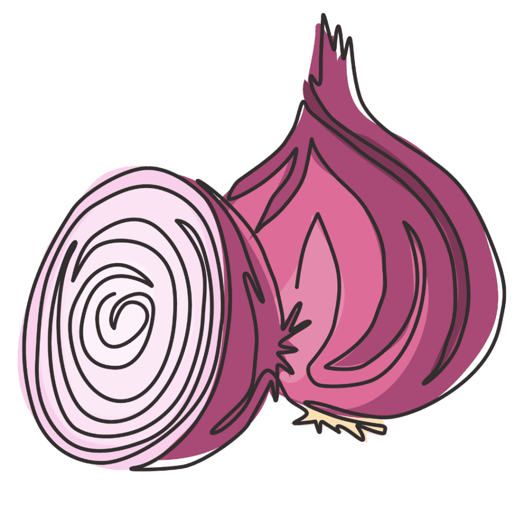 A simple, stylized illustration of a red onion, showing one whole onion and one onion half with visible inner rings. The drawing uses bold, curved lines and shades of purple and pink.