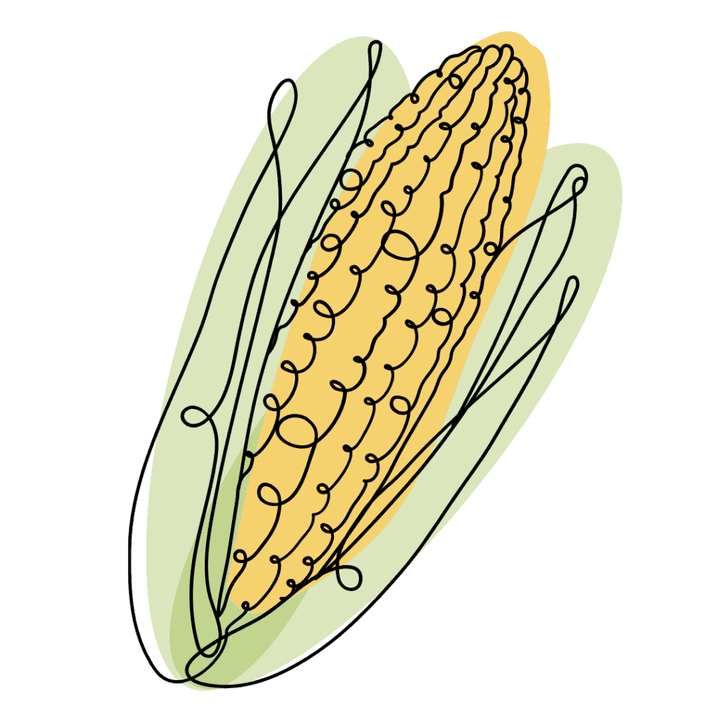 A simple, stylized illustration of an ear of corn with green husks, drawn using flowing, continuous black lines and filled with soft yellow and green colors.