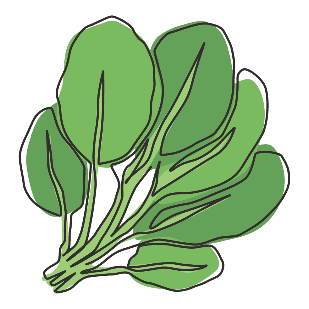 A simple line drawing of a bunch of spinach leaves with varying shades of green on a light background.