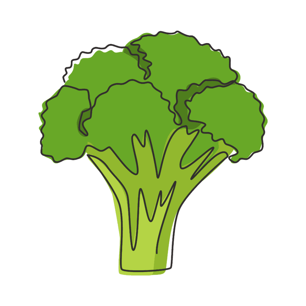 A simple, stylized illustration of a green broccoli floret with a thick stalk and leafy tops, outlined in black on a plain light background.