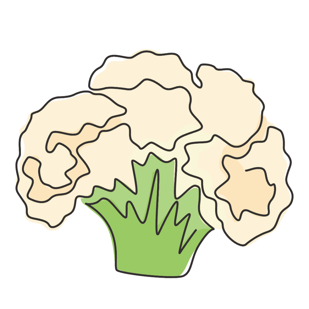 A simple, hand-drawn illustration of a cauliflower with a green stem and light beige, textured florets against a plain background.
