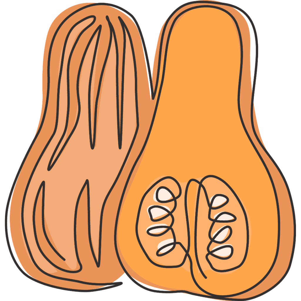 A simple, stylized drawing of two butternut squashes, one whole and one cut in half, showing seeds inside. The illustration uses orange and brown tones with black outlines.
