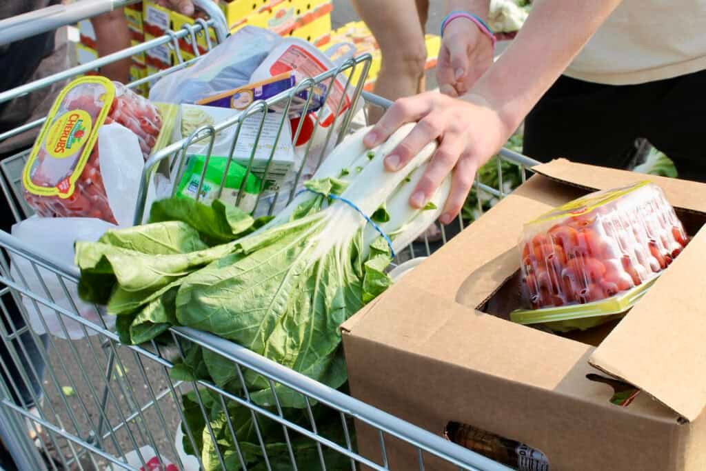 A shopping cart filled with groceries, including leafy greens, cherry tomatoes, packaged meat, and a cardboard box. A person’s hand reaches in—perfect for celebrating Nutrition Month in Middle Tennessee.